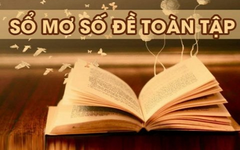 Sổ Mơ Lô Tô Toàn Tập: Tra Cứu Các Con Số May Mắn Từ Giấc Mơ