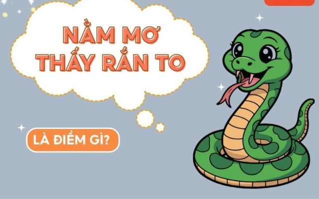 Khám phá bí ẩn tâm linh và ý nghĩa tâm lý khi bạn nằm mơ thấy con rắn