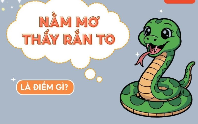 Khám phá bí ẩn tâm linh và ý nghĩa tâm lý khi bạn nằm mơ thấy con rắn